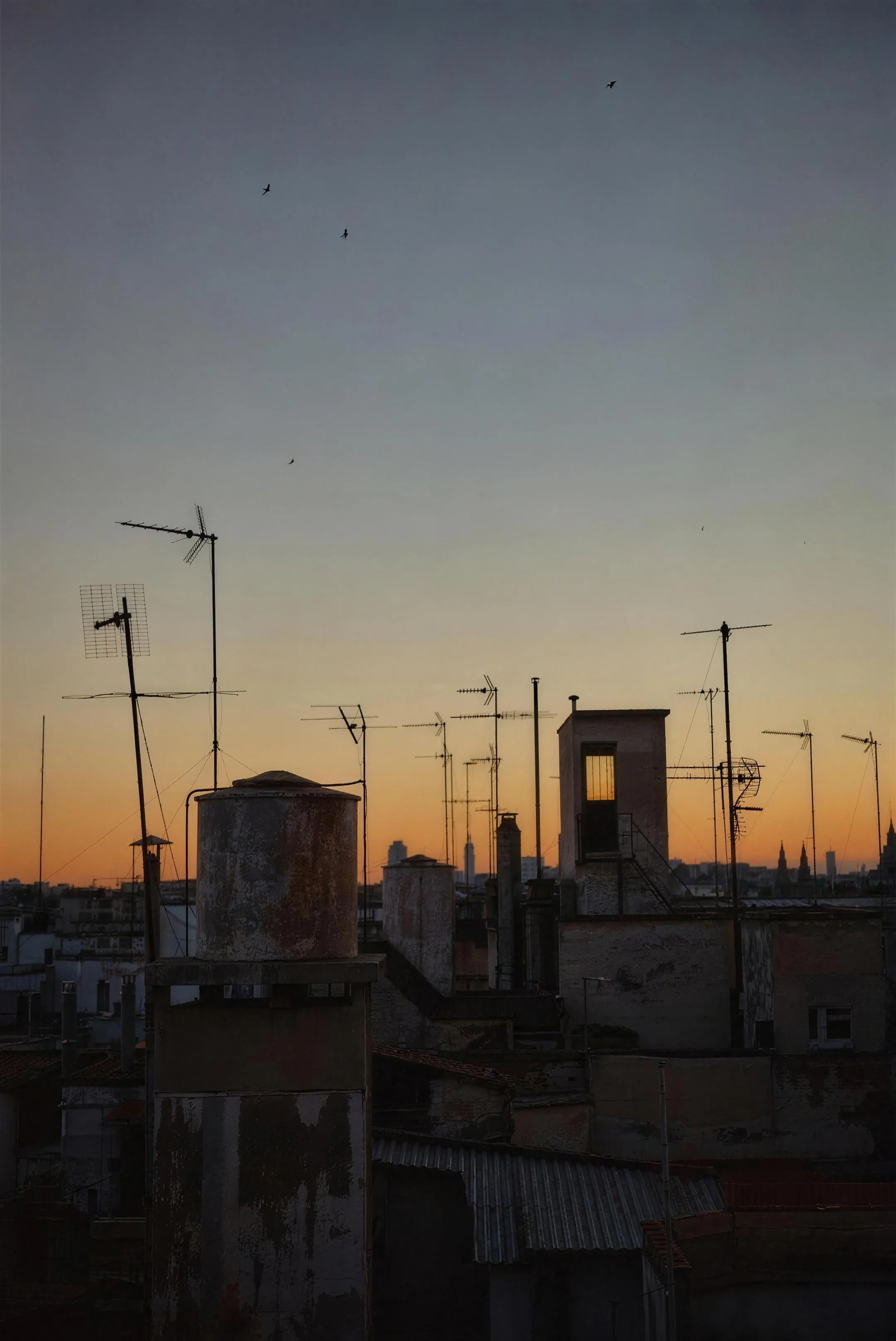 Rusted water tanks and a thicket of television aerials in silhouette against a deep dusk sky, one lit stairwell window, swifts overhead